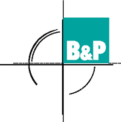 birkpartner logo
